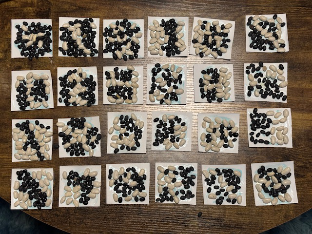 Bean Mosaic series